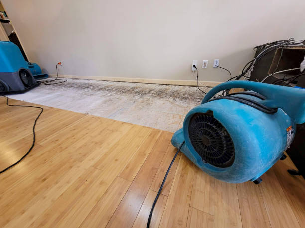 Professional Flood Damage Cleanup technician working in Preston Hollow, NY